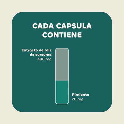 Cúrcuma + Pimienta Negra 500 Mg 90 Cápsulas Karunlife