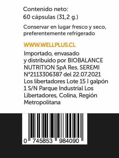 Probiotic Plus 60b IMM 60 Cápsulas Wellplus