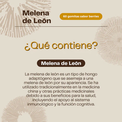 Melena de León Extracto 30 Ml Karun Life