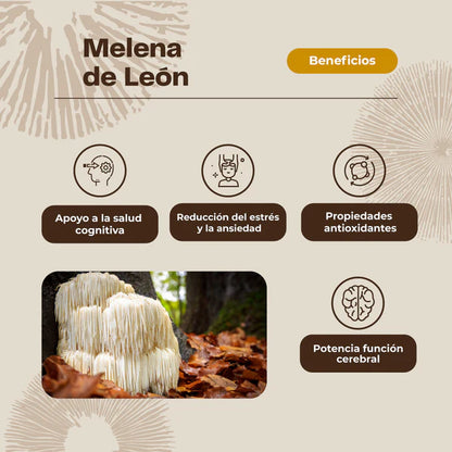 Hongo Melena de León + Vitamina C 60 Gomitas Karun Life