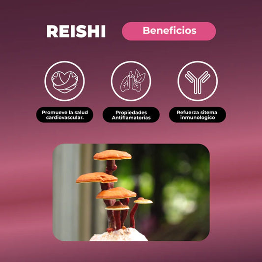 Reishi en gotas, extracto 30 Ml Karun Life