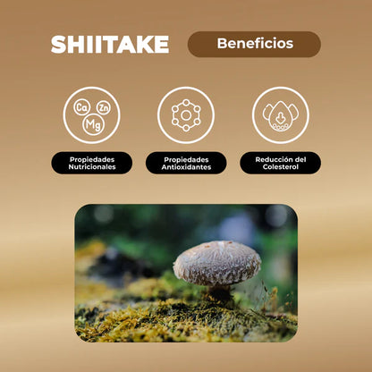 Shiitake Hongo Gomitas 60 unidades Karun Life