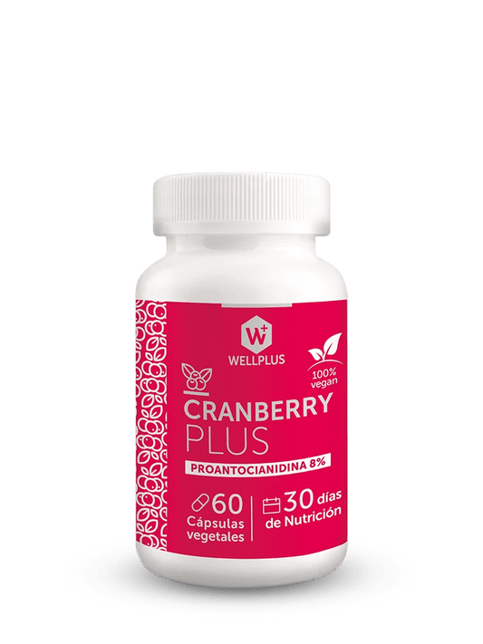 Cranberry plus 500mg 60caps Wellplus