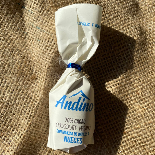 Chocoteja nuez 30gr Andino