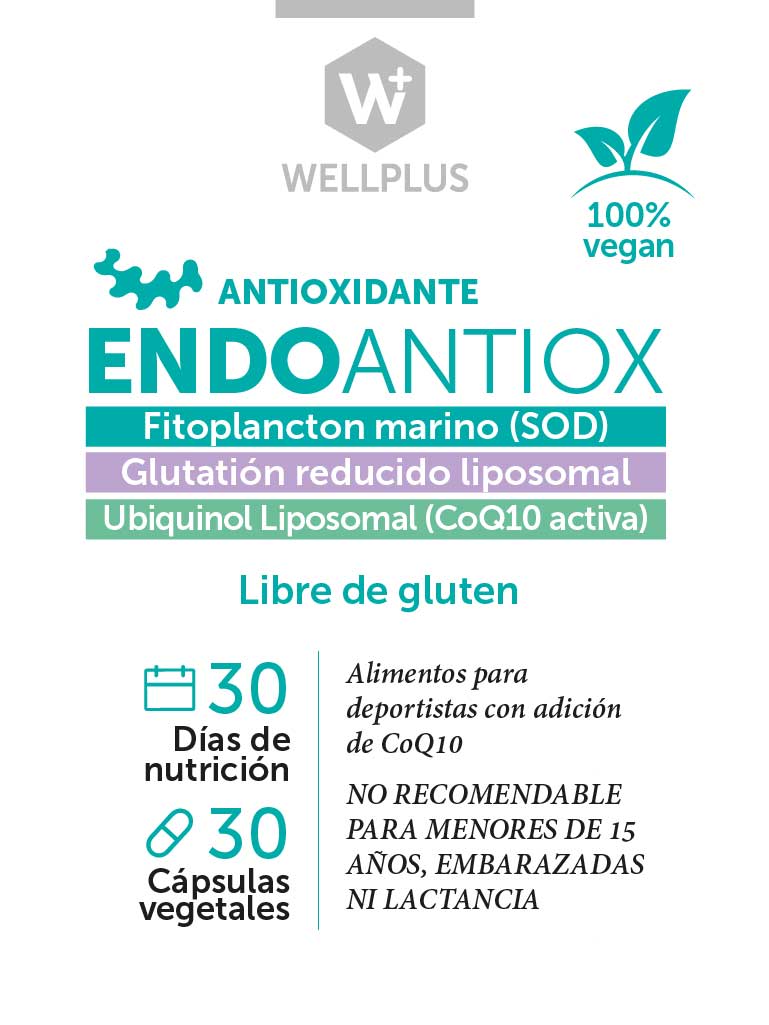 Endo Antioxidante 30caps Wellplus