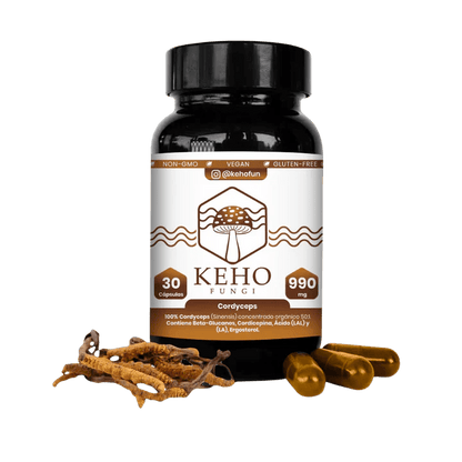 Hongo cordyceps 500mg 60caps Keho