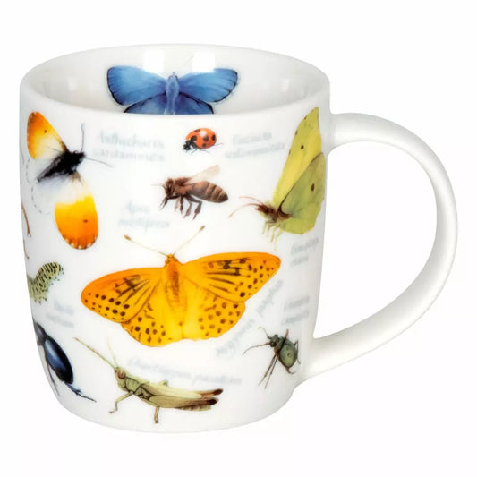 TACITA NATURES MARIPOSAS INSECTOS KONITZ LS